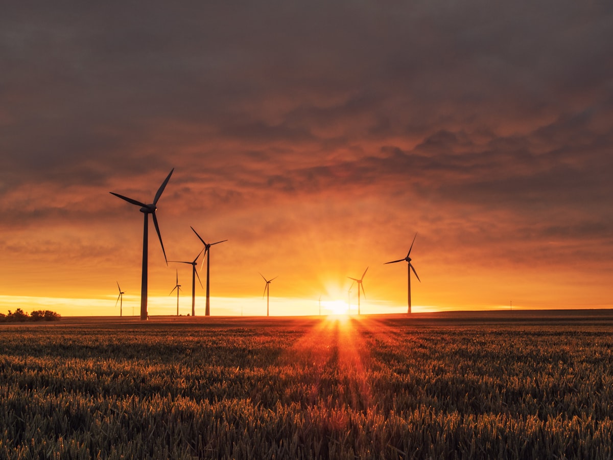 Multi-Stakeholder Energy Initiative